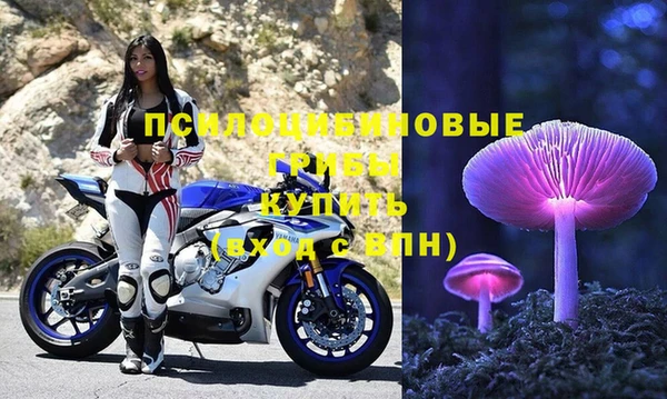 мяу мяу мука Абдулино
