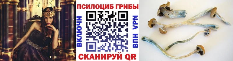 Галлюциногенные грибы мухоморы  Ивангород 